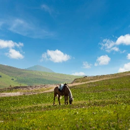 Holiday in Azerbaijan Best Cities